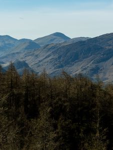 Preview wallpaper mountains, peaks, forest, trees, landscape, nature