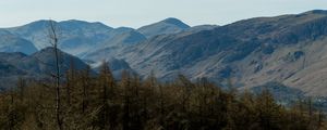 Preview wallpaper mountains, peaks, forest, trees, landscape, nature