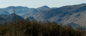 Preview wallpaper mountains, peaks, forest, trees, landscape, nature