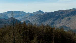 Preview wallpaper mountains, peaks, forest, trees, landscape, nature