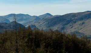 Preview wallpaper mountains, peaks, forest, trees, landscape, nature