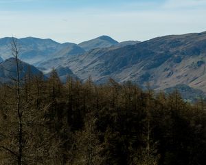 Preview wallpaper mountains, peaks, forest, trees, landscape, nature