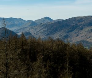 Preview wallpaper mountains, peaks, forest, trees, landscape, nature