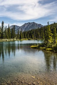 Preview wallpaper mountains, peaks, lake, forest, trees