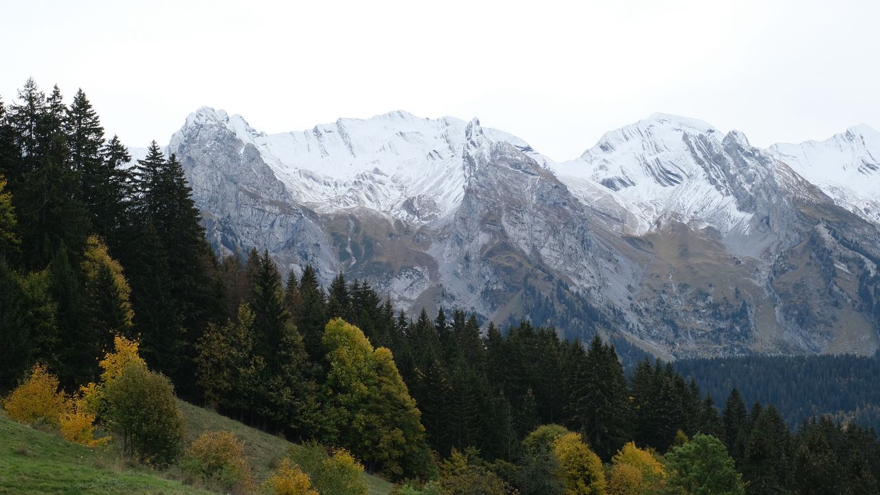 Wallpaper mountains, peaks, landscape, snow, trees, slope