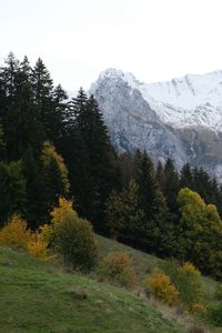 Preview wallpaper mountains, peaks, landscape, snow, trees, slope