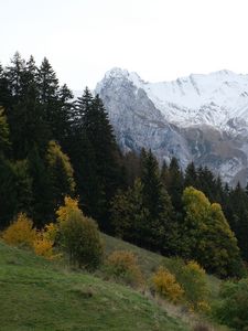 Preview wallpaper mountains, peaks, landscape, snow, trees, slope