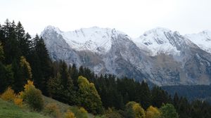 Preview wallpaper mountains, peaks, landscape, snow, trees, slope