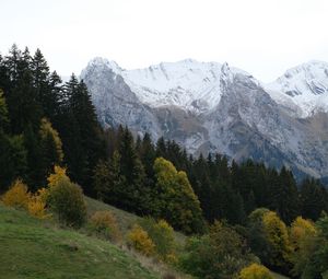 Preview wallpaper mountains, peaks, landscape, snow, trees, slope