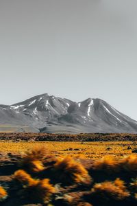 Preview wallpaper mountains, peaks, landscape, bushes, stones