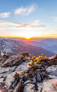 Preview wallpaper mountains, peaks, relief, rays, horizon