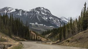 Preview wallpaper mountains, peaks, road, forest, snowy