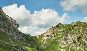 Preview wallpaper mountains, peaks, rocks, spruce, grass