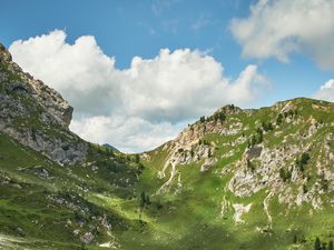 Preview wallpaper mountains, peaks, rocks, spruce, grass