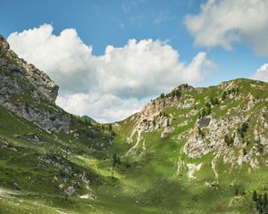 Preview wallpaper mountains, peaks, rocks, spruce, grass