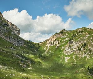 Preview wallpaper mountains, peaks, rocks, spruce, grass