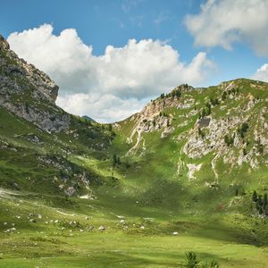 Preview wallpaper mountains, peaks, rocks, spruce, grass