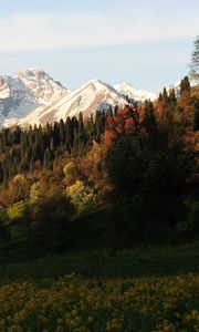 Preview wallpaper mountains, peaks, slope, trees, flowers