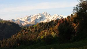 Preview wallpaper mountains, peaks, slope, trees, flowers