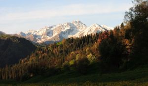 Preview wallpaper mountains, peaks, slope, trees, flowers