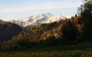 Preview wallpaper mountains, peaks, slope, trees, flowers