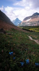 Preview wallpaper mountains, peaks, slope, flowers, landscape