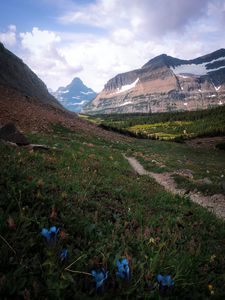 Preview wallpaper mountains, peaks, slope, flowers, landscape