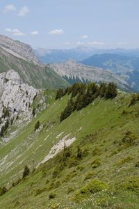 Preview wallpaper mountains, peaks, slopes, trees, landscape