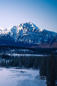 Preview wallpaper mountains, peaks, snow, trees, forest, snowy