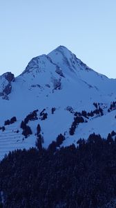 Preview wallpaper mountains, peaks, snow, snowy, forest, trees