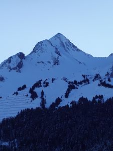 Preview wallpaper mountains, peaks, snow, snowy, forest, trees