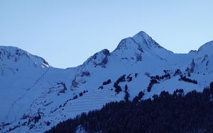 Preview wallpaper mountains, peaks, snow, snowy, forest, trees