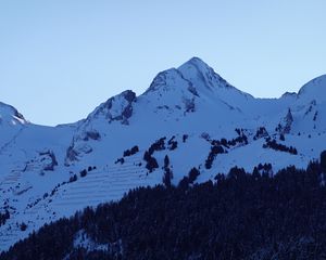 Preview wallpaper mountains, peaks, snow, snowy, forest, trees