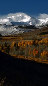 Preview wallpaper mountains, peaks, snow, snowy, trees, landscape