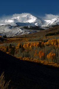 Preview wallpaper mountains, peaks, snow, snowy, trees, landscape