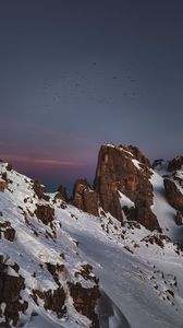 Preview wallpaper mountains, peaks, snowy, birds