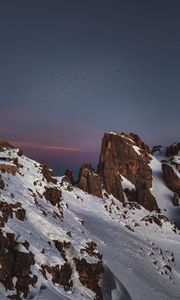 Preview wallpaper mountains, peaks, snowy, birds