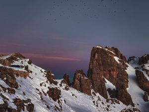 Preview wallpaper mountains, peaks, snowy, birds