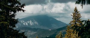 Preview wallpaper mountains, peaks, spruce, branches, sky