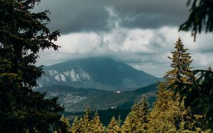 Preview wallpaper mountains, peaks, spruce, branches, sky