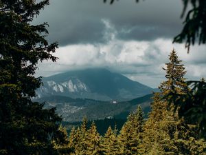 Preview wallpaper mountains, peaks, spruce, branches, sky