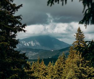 Preview wallpaper mountains, peaks, spruce, branches, sky