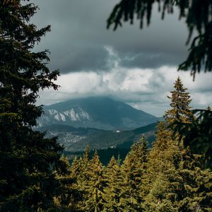 Preview wallpaper mountains, peaks, spruce, branches, sky