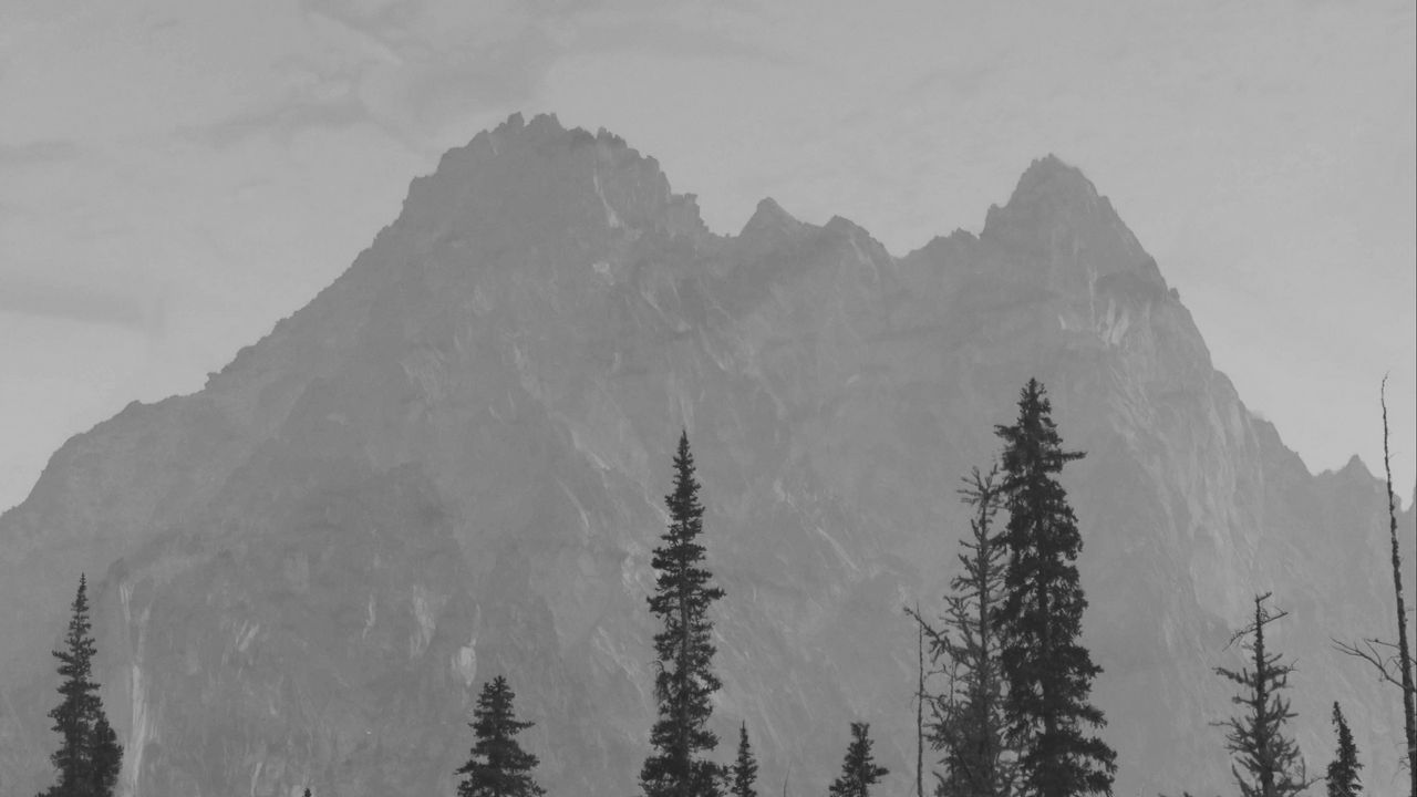 Wallpaper mountains, peaks, spruce, trees, darkness