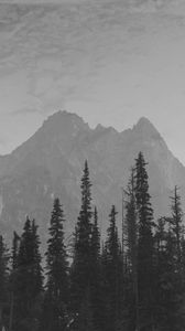 Preview wallpaper mountains, peaks, spruce, trees, darkness