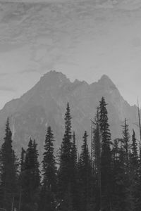 Preview wallpaper mountains, peaks, spruce, trees, darkness