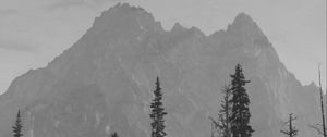 Preview wallpaper mountains, peaks, spruce, trees, darkness