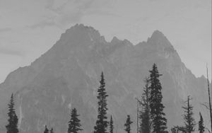 Preview wallpaper mountains, peaks, spruce, trees, darkness