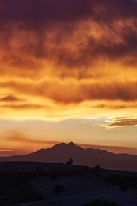 Preview wallpaper mountains, peaks, sunset, bushes, sky