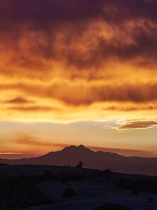 Preview wallpaper mountains, peaks, sunset, bushes, sky